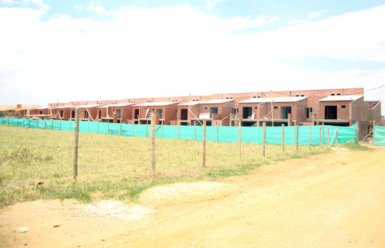 Almendros de Verde Alfaguara | Alfaguara S.A.